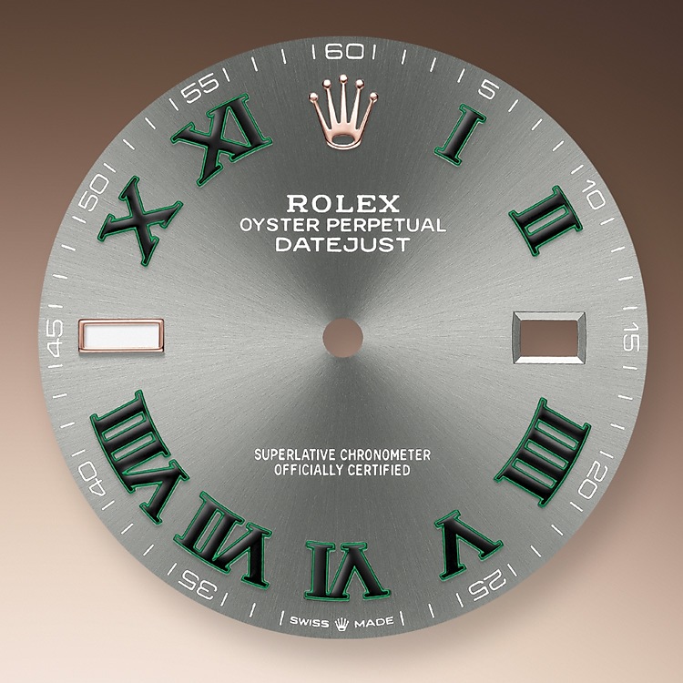 Rolex Datejust | 126331 | Datejust 41 | Dark dial | Slate Dial | The Fluted Bezel | Everose Rolesor | m126331-0016 | Men Watch | Rolex Official Retailer - Time Midas